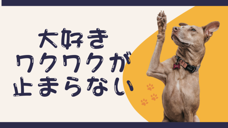 大好きワクワクが止まらない